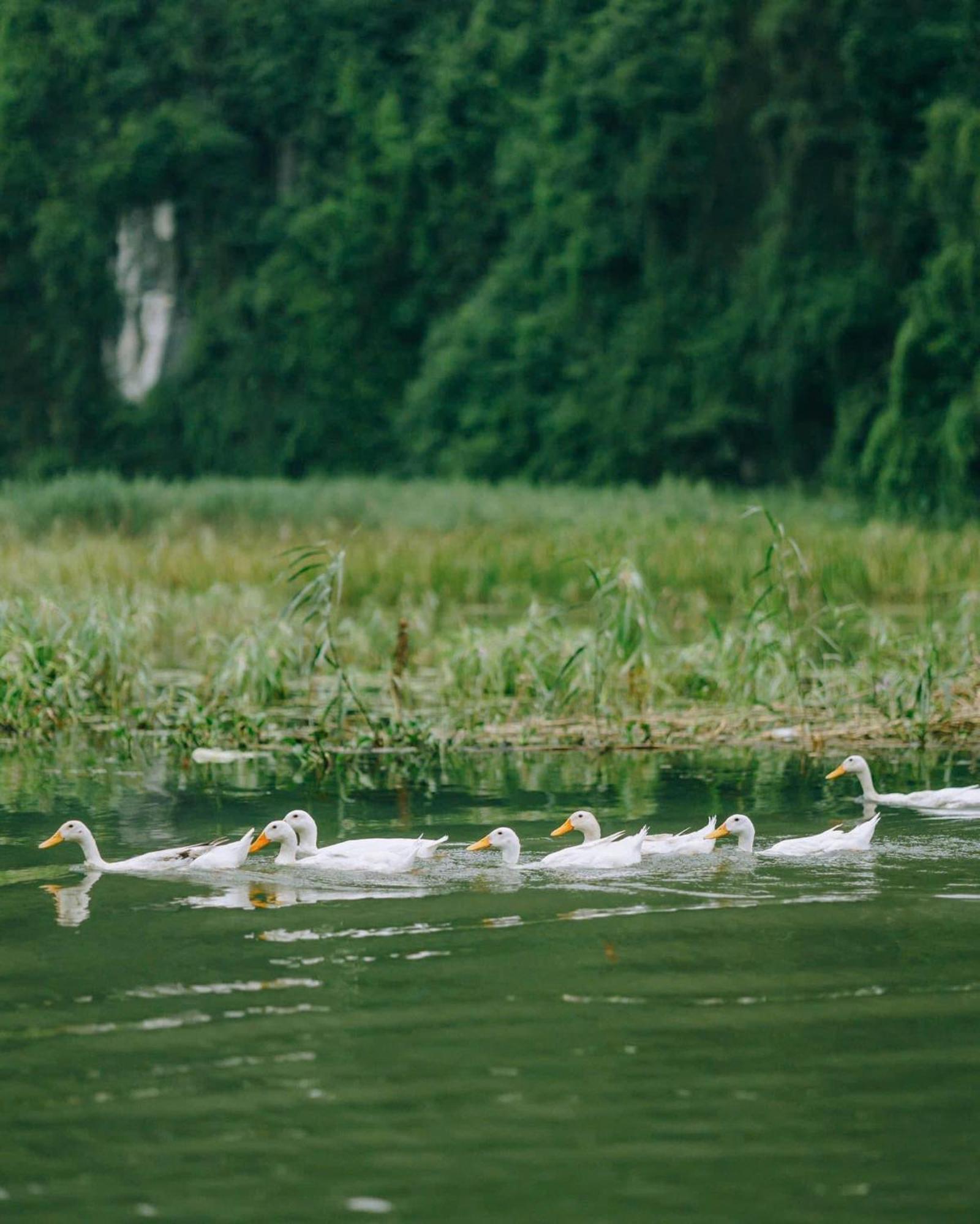 Tam Coc Sana Villa & Homestays Ninh Binh Exteriér fotografie